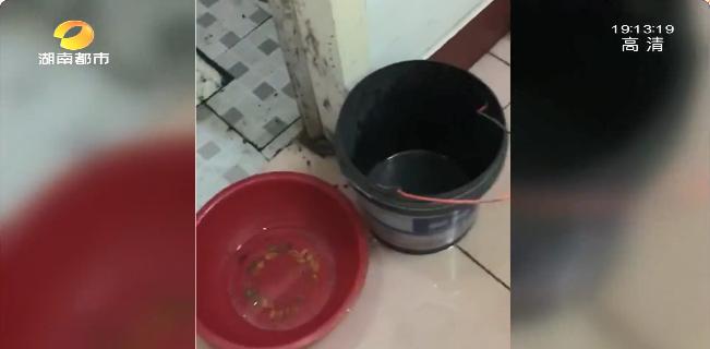 DƬ